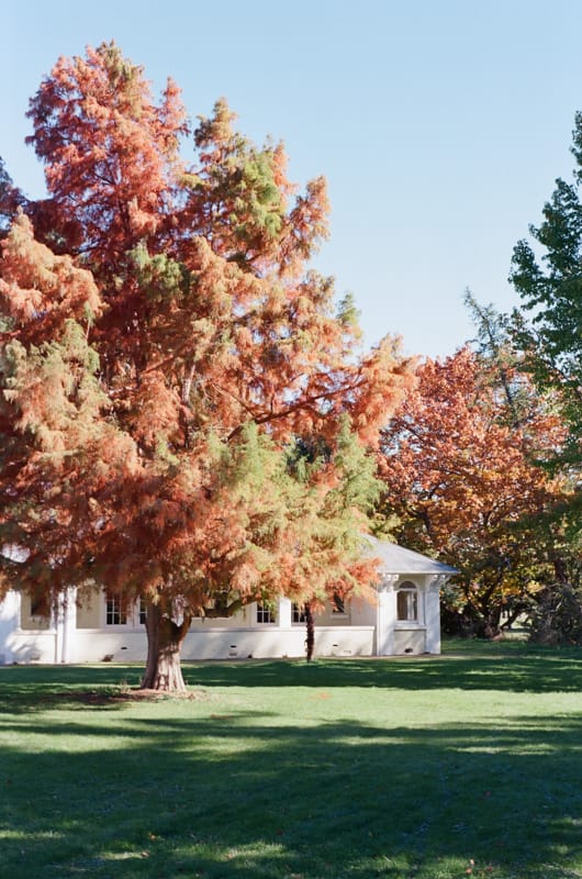 Autumn in Hanmer springs.