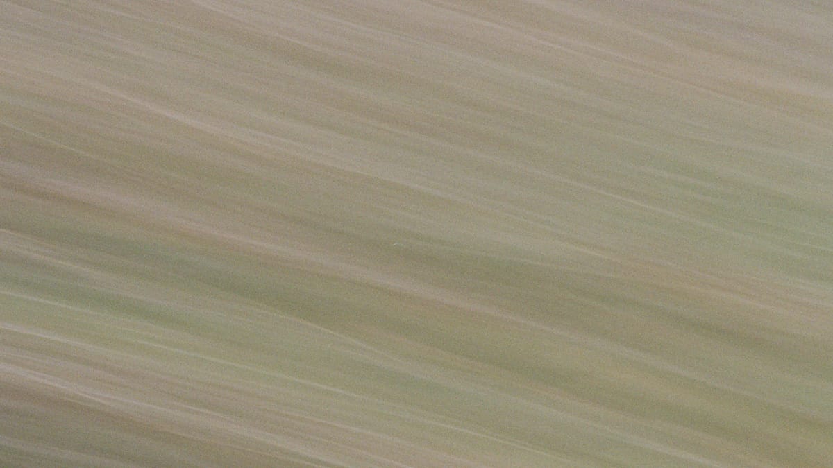 ICM photography on film.