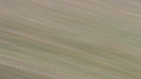 ICM photography on film.